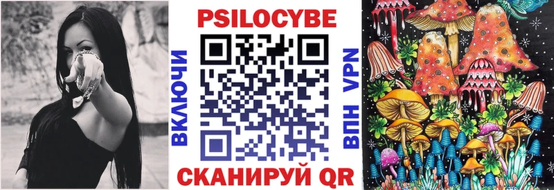 Псилоцибиновые грибы Psilocybine cubensis Багратионовск